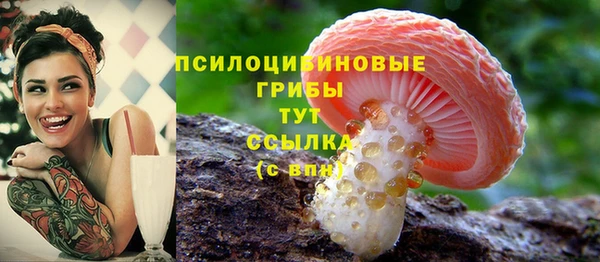 марки nbome Алексеевка