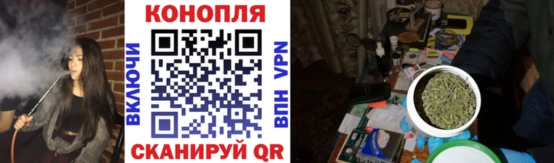 Конопля гибрид  цена наркотик  Новопавловск 